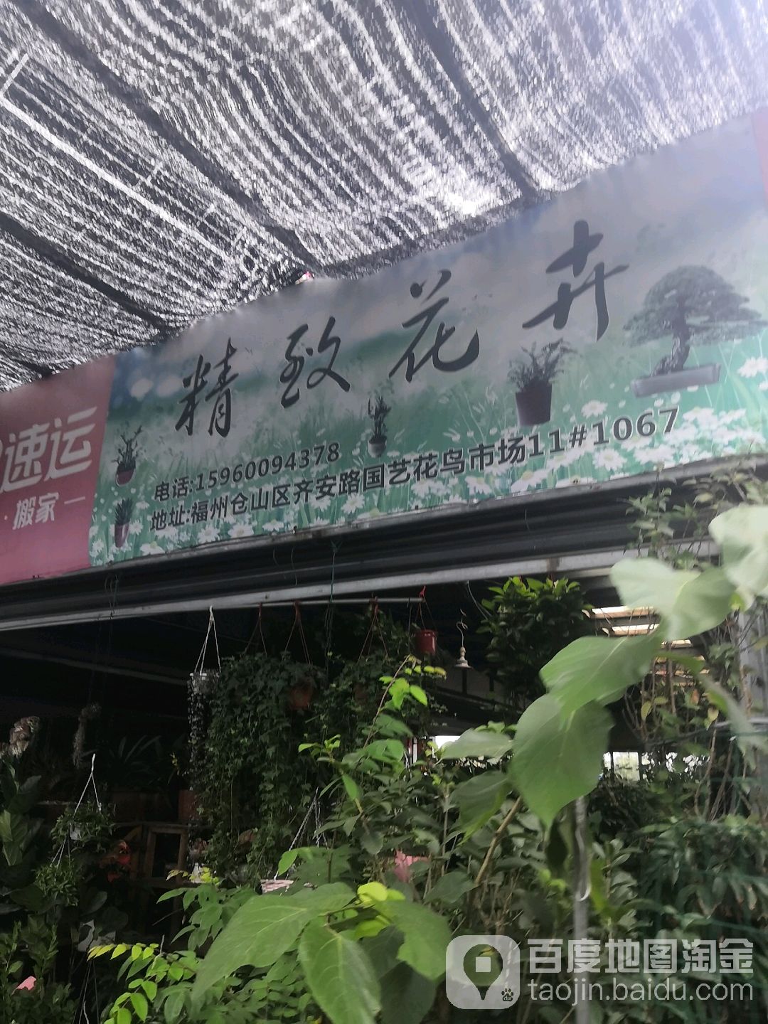 精致花卉