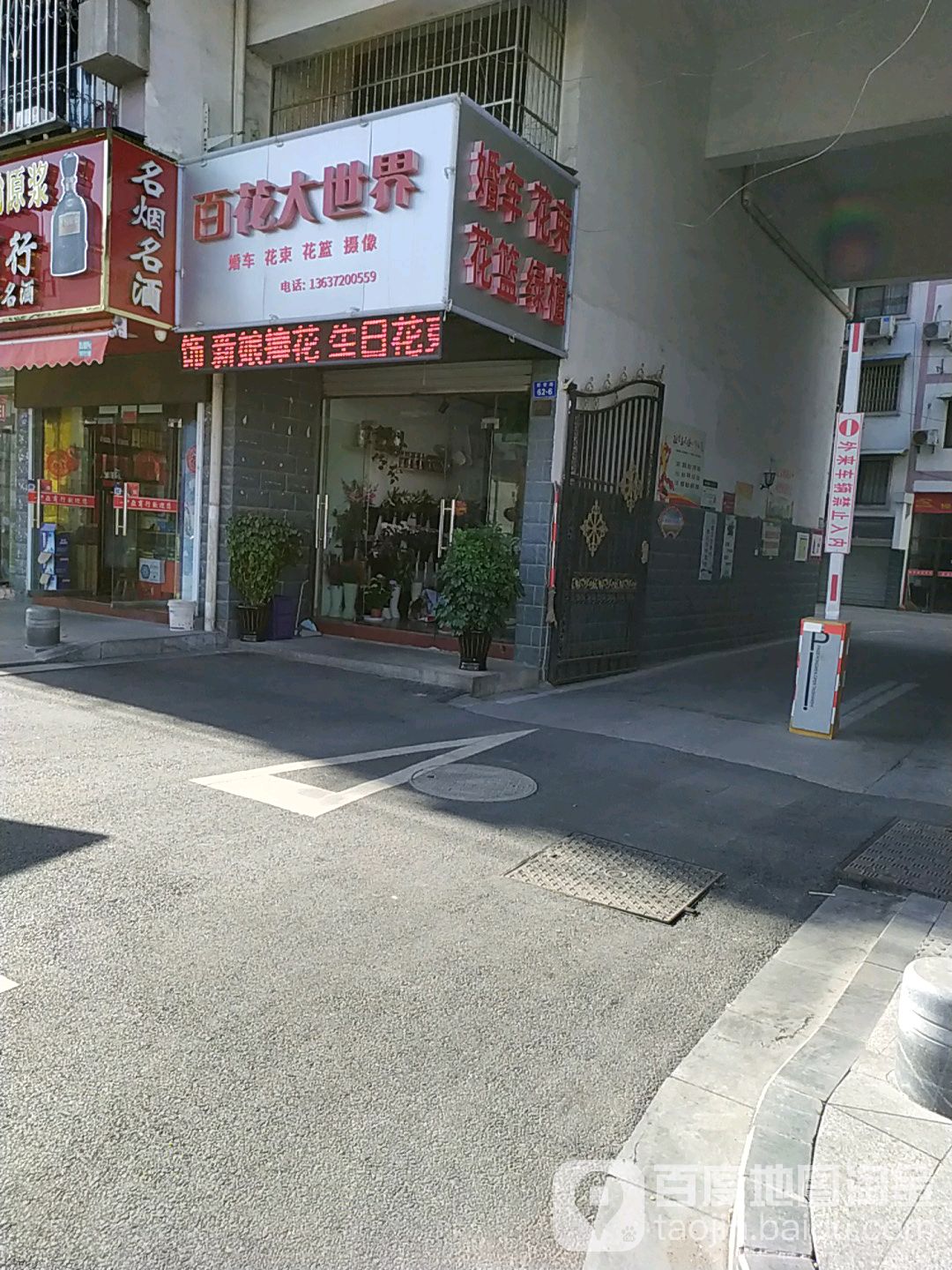 百花大世界