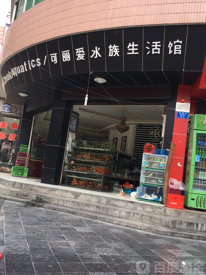 可丽宝爱水族生活馆(杨柳街店)