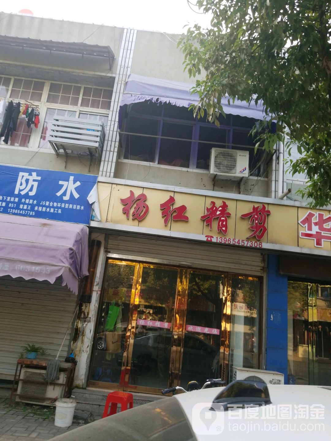 杨红精剪