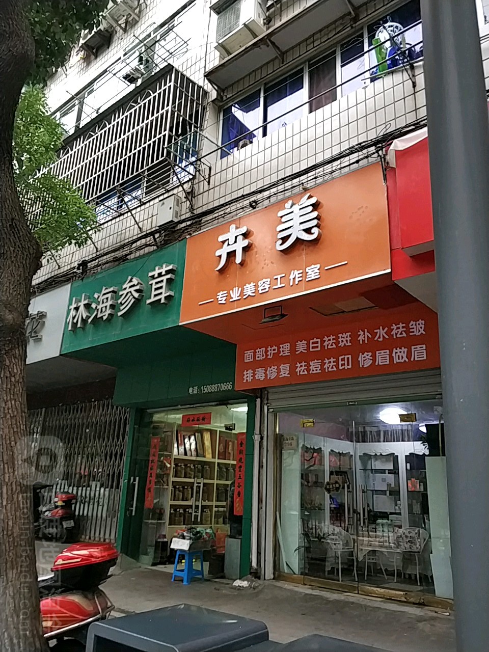 林海参茸