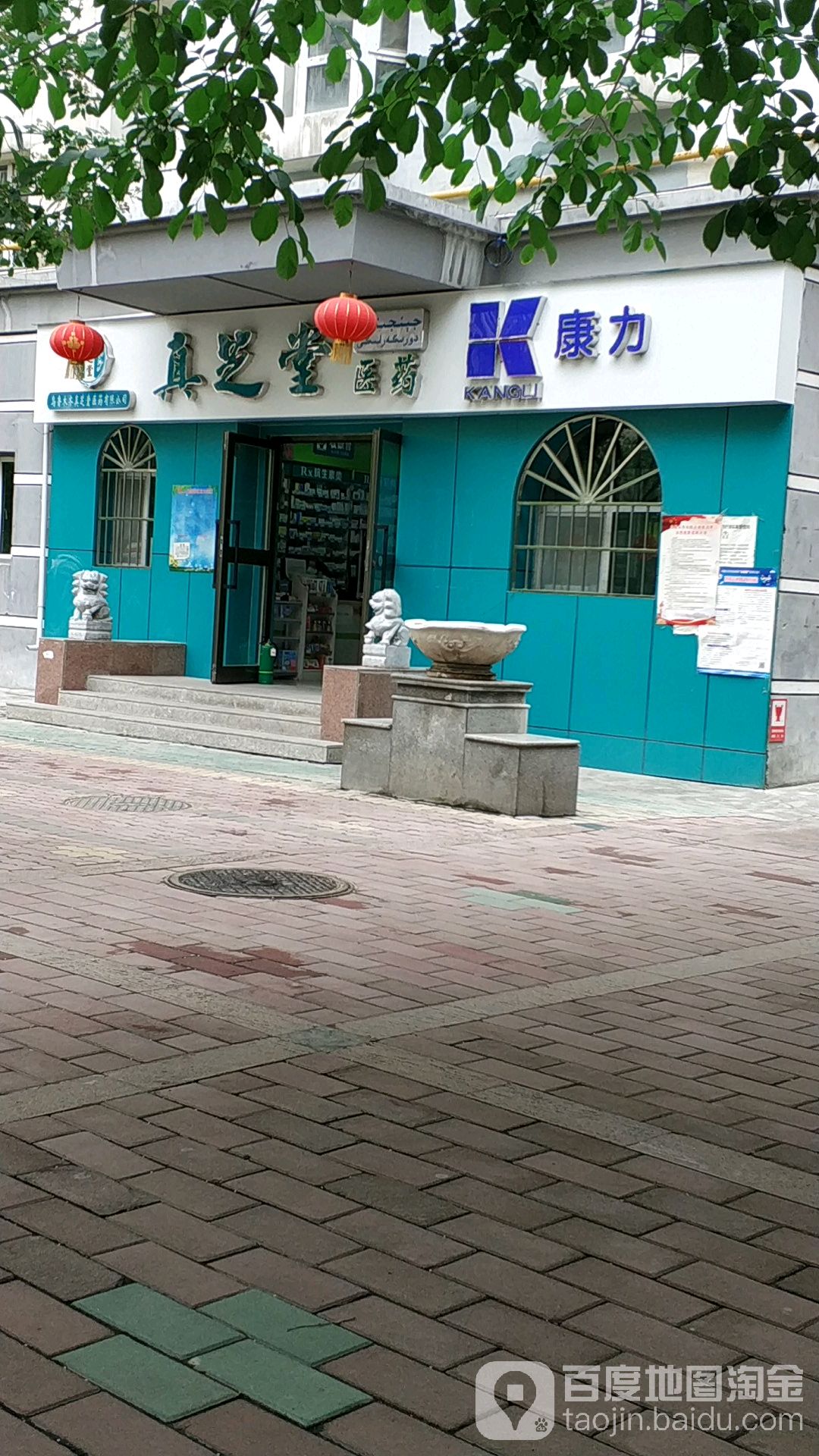 真芝堂医药