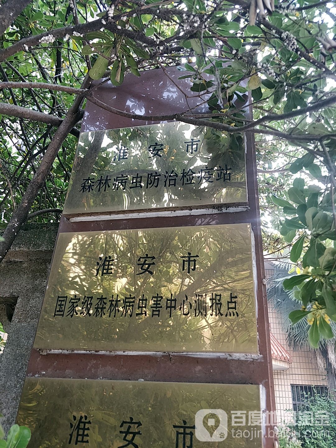 淮安市森林病虫防治检疫站