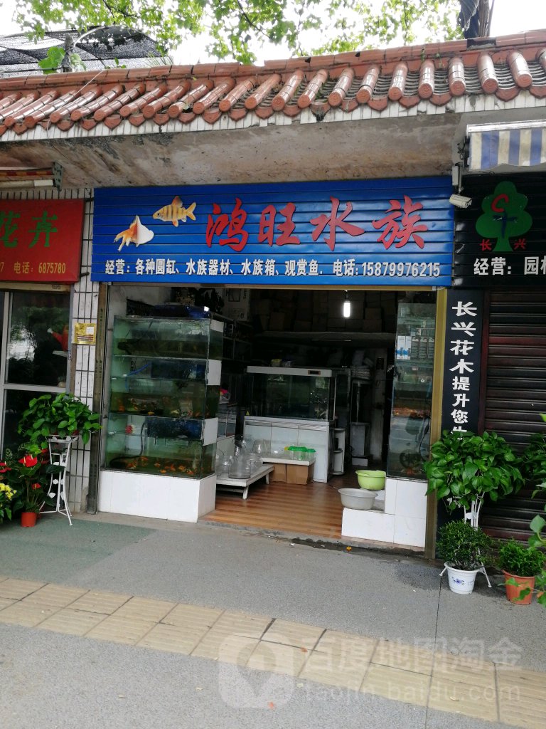 宏旺水族