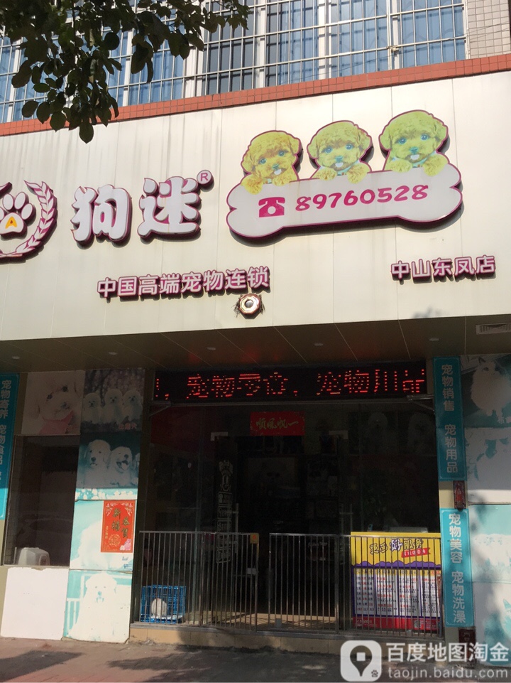 狗迷中国高端宠物连锁(中山东凤店)