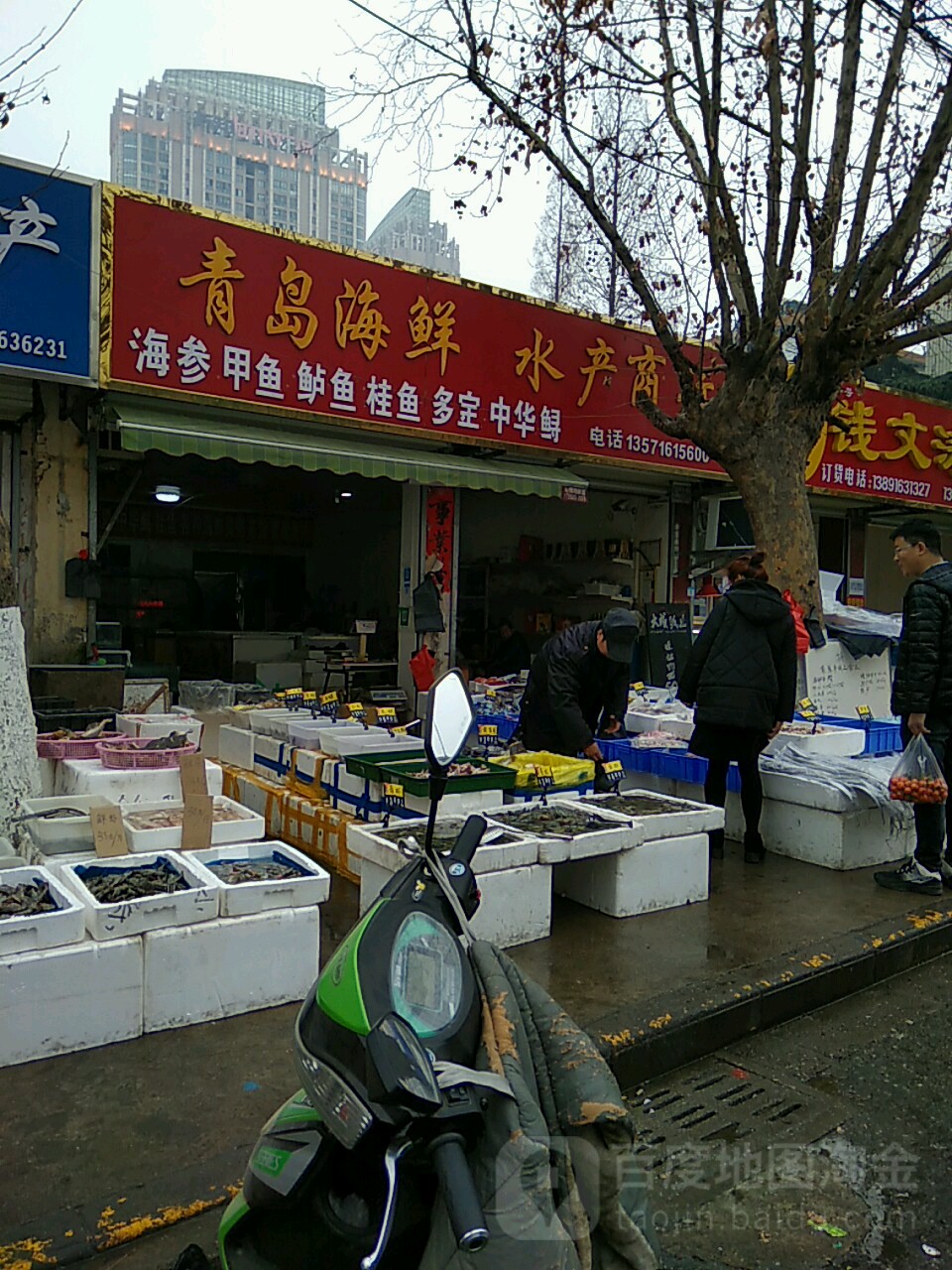 青岛海鲜水产商行