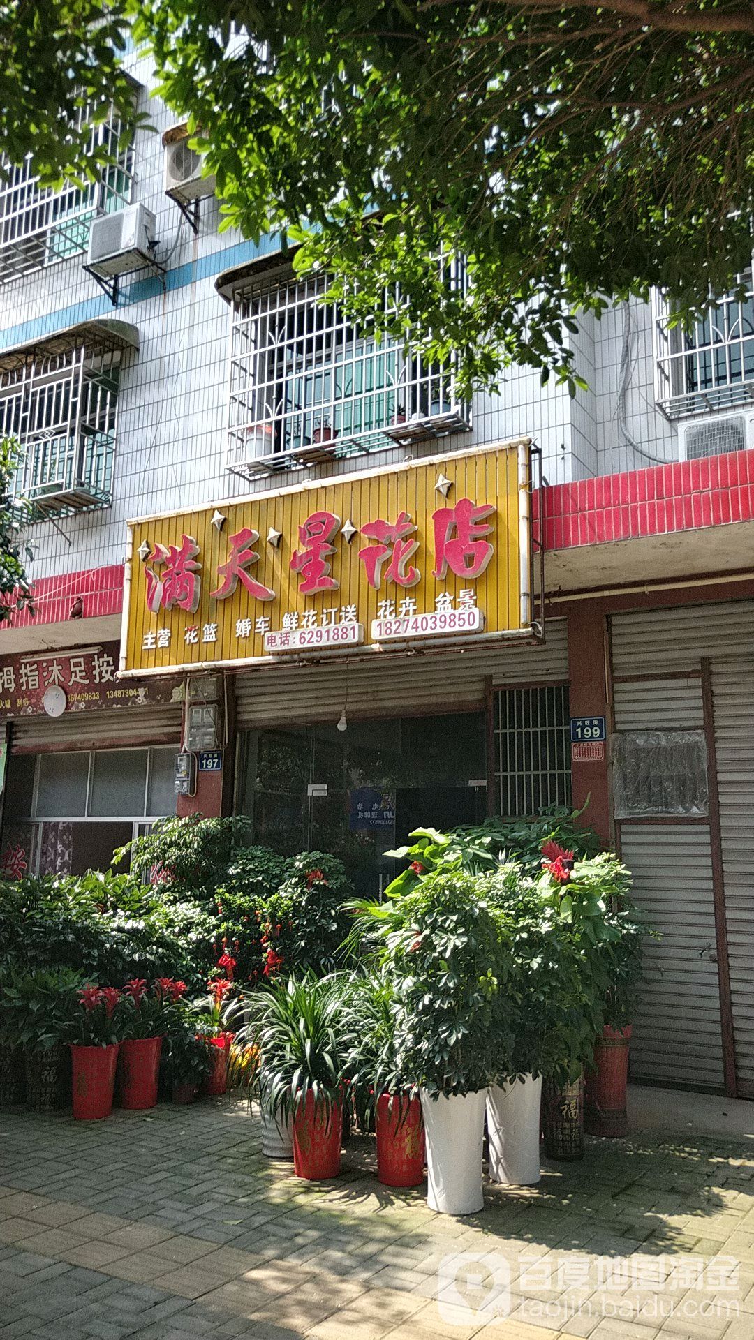 满天星花店