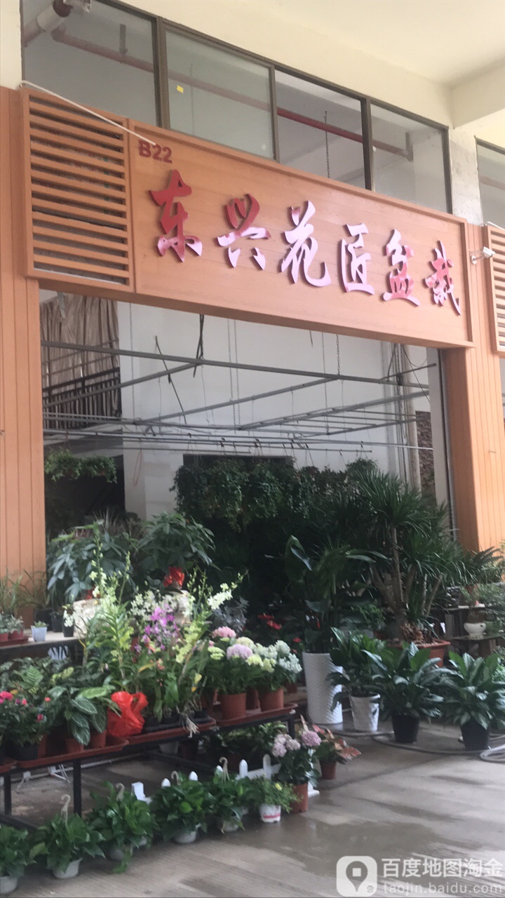 东兴花匠(百合花卉小镇店)