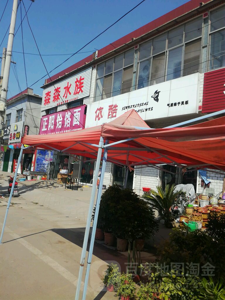 sen森水族(长安大街店)