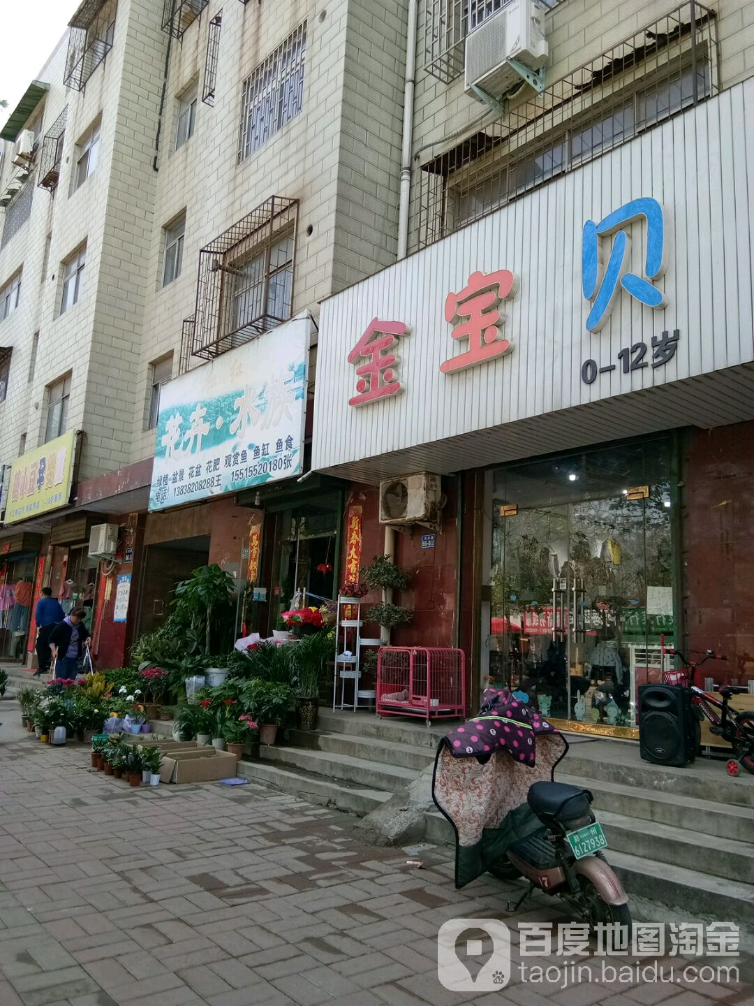 红红花卉·水族(汜河路家属院店)