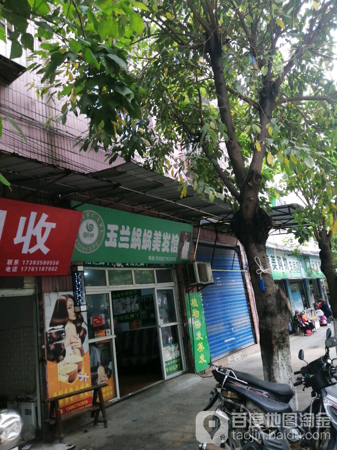 玉兰发型
