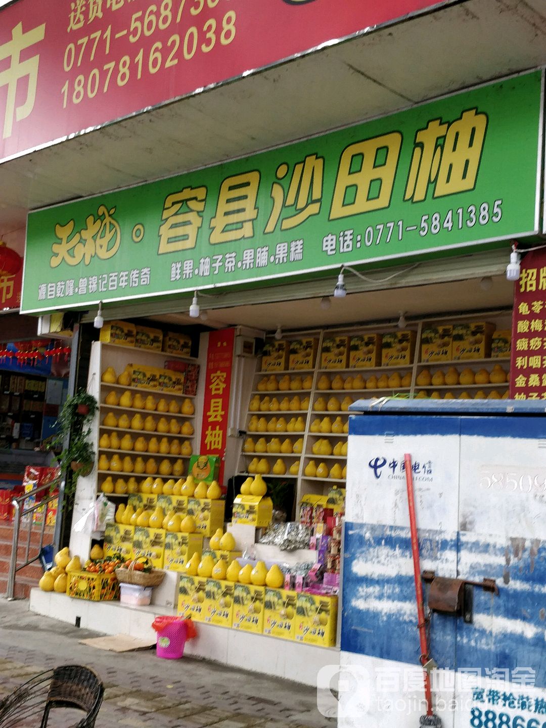 天柚容县沙田柚(葛村老店)
