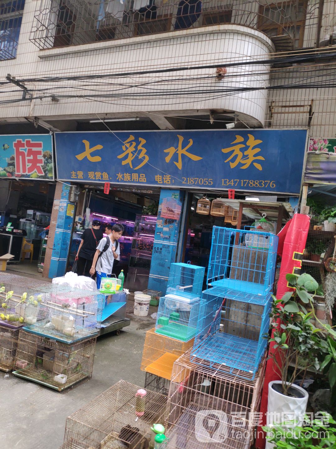 七彩水族(白沙路店)