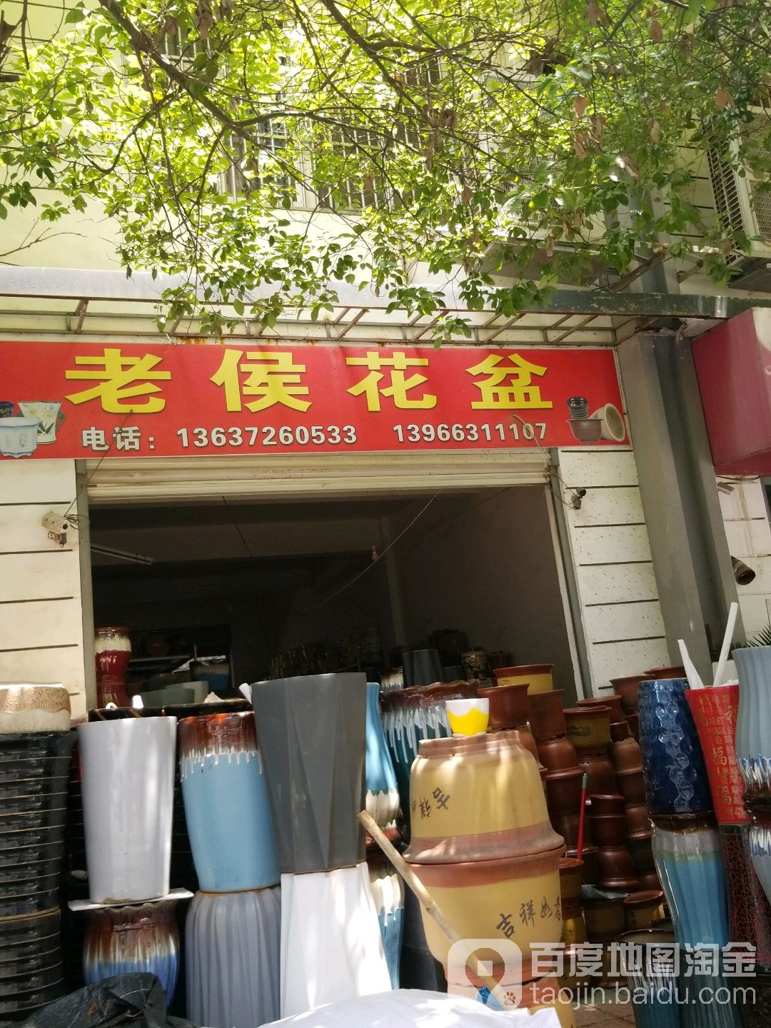 老侯花盆