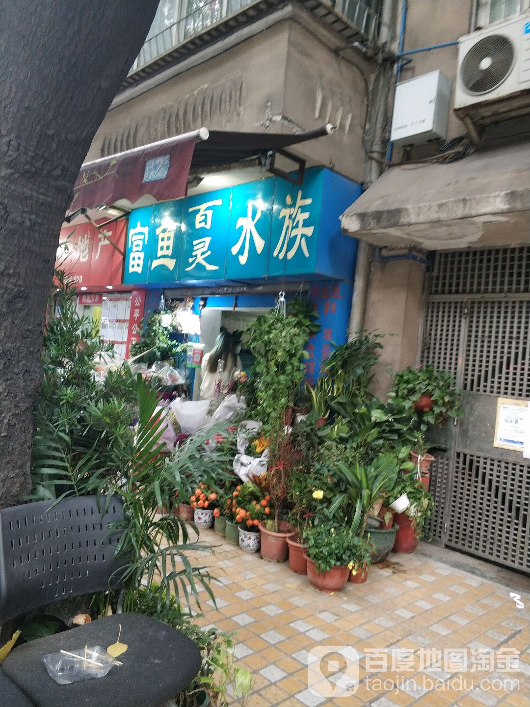 富鱼都灵水族