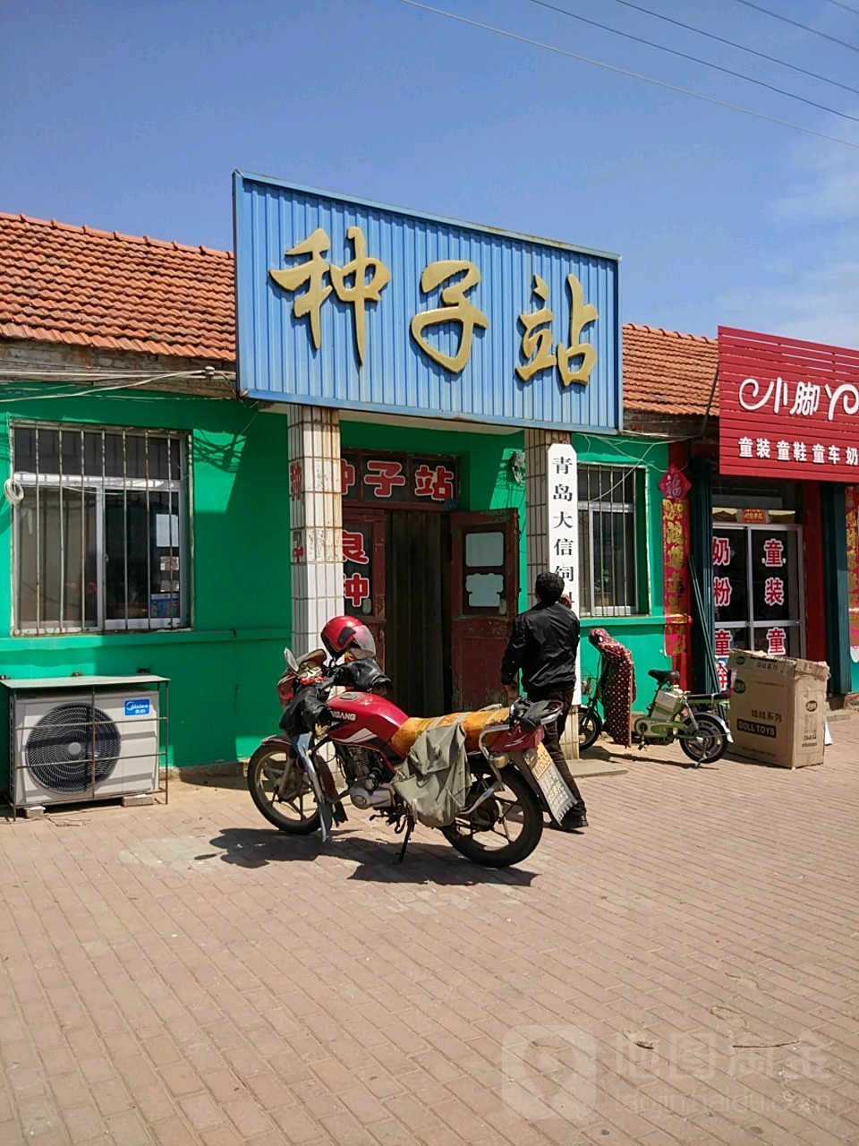 种子车站