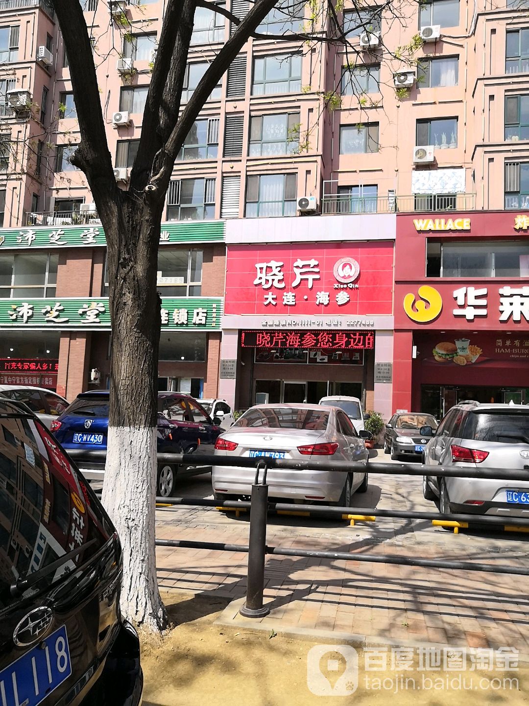 晓芹海参(鞍山旗舰店)