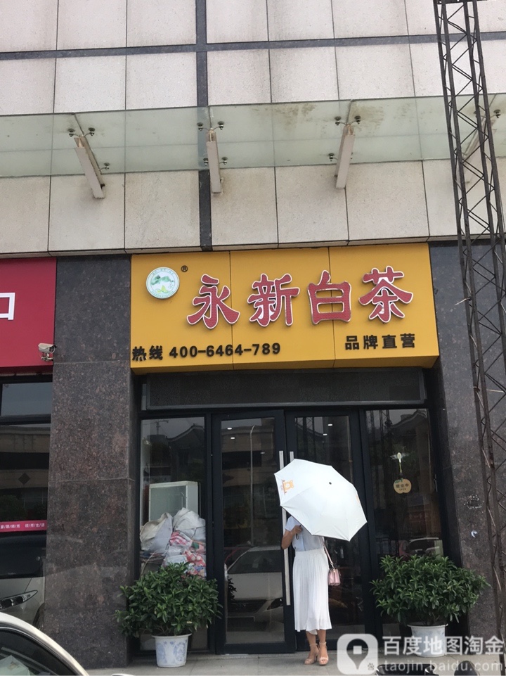 永新白茶
