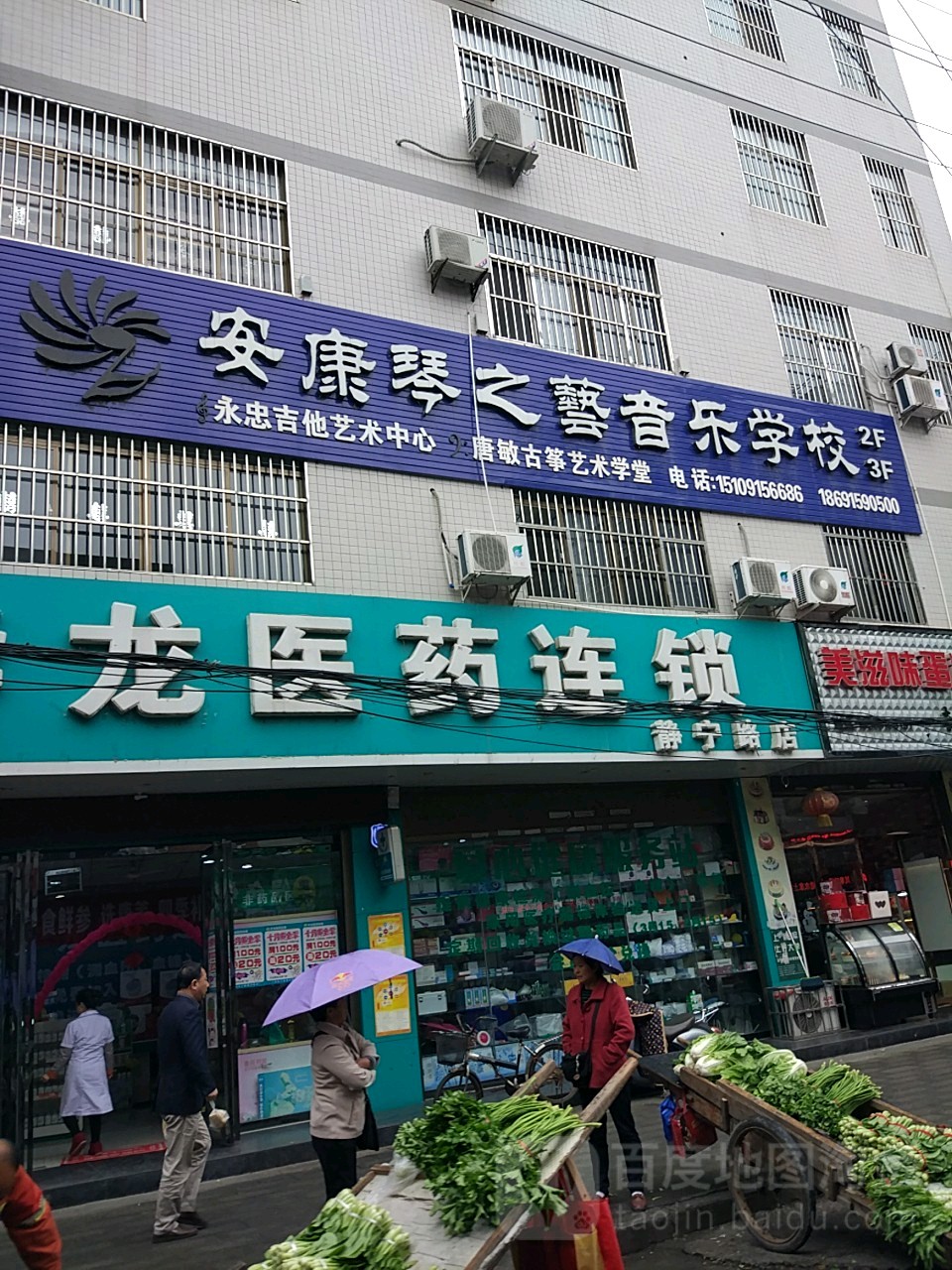 康安琴之艺音乐学校