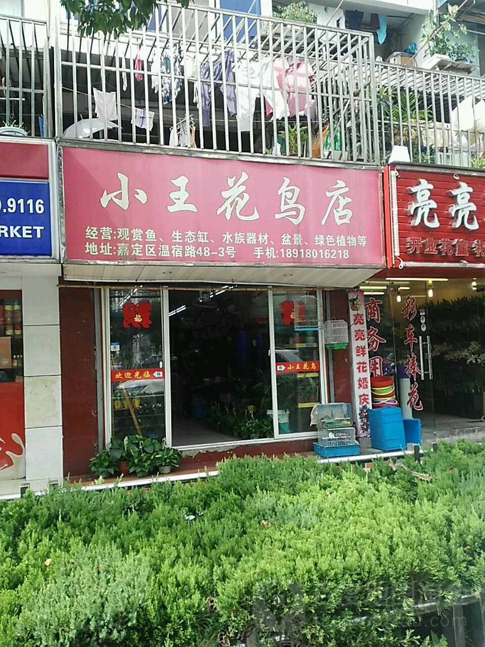 小王花鸟渔具店