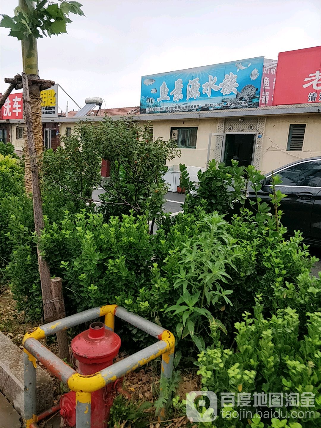 鱼景源水族