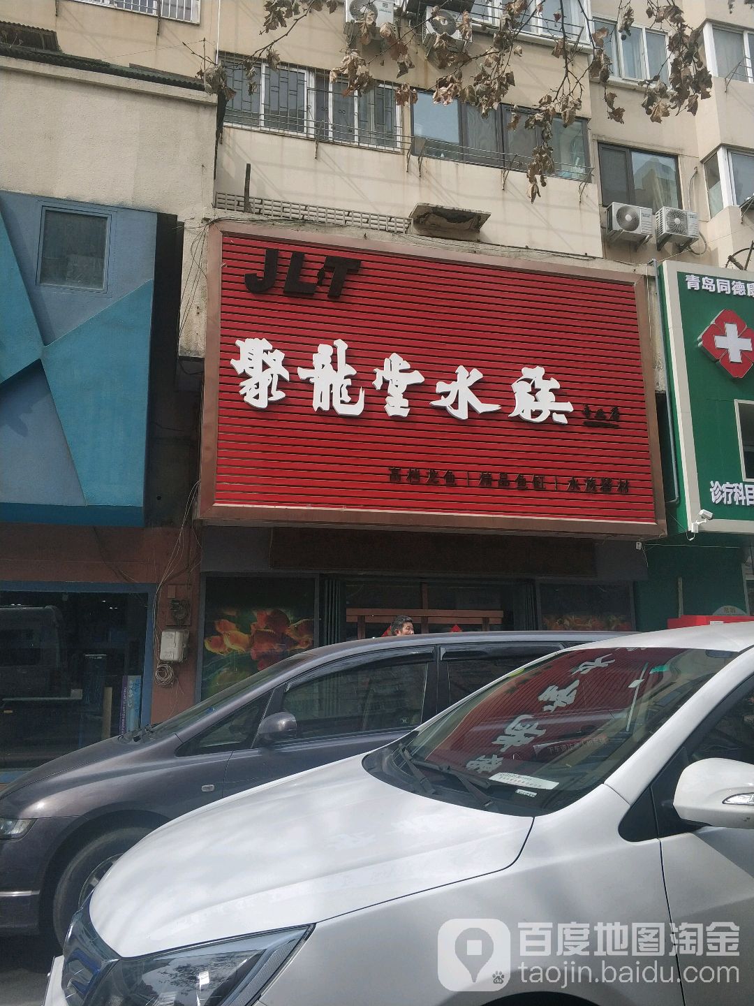 聚龙塘水族(南山花鸟鱼石市场店)