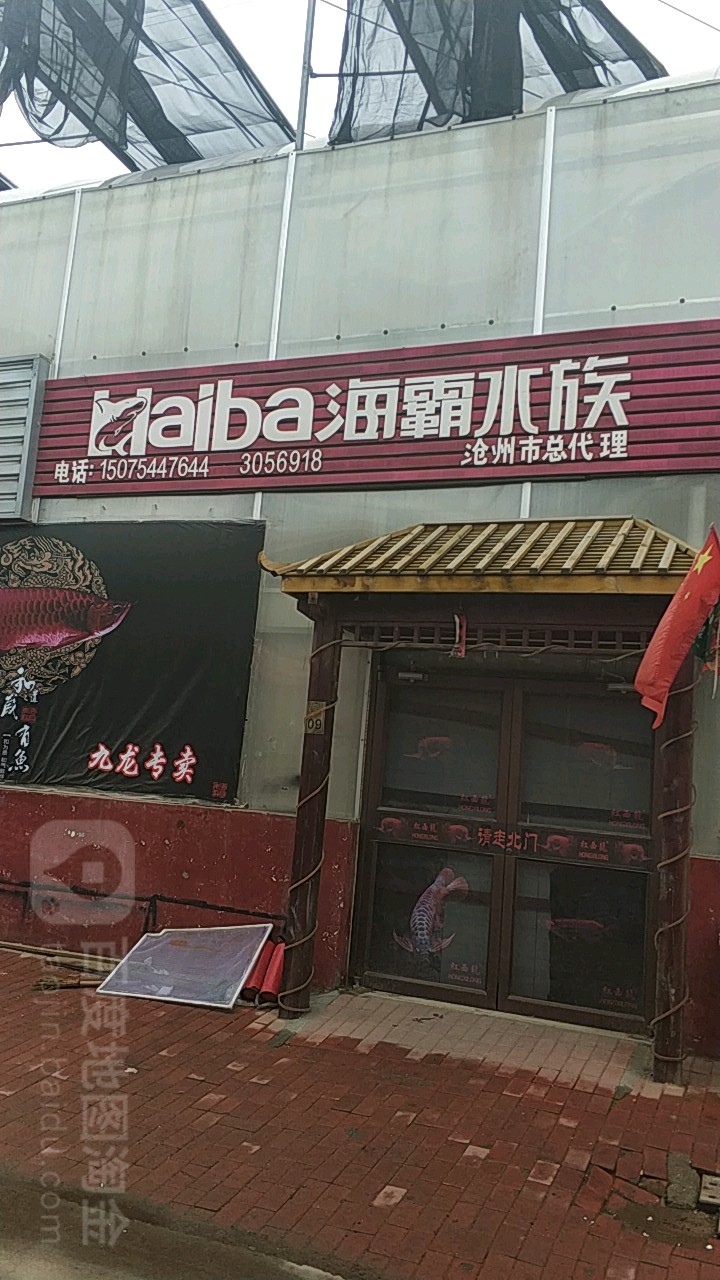 海霸水族