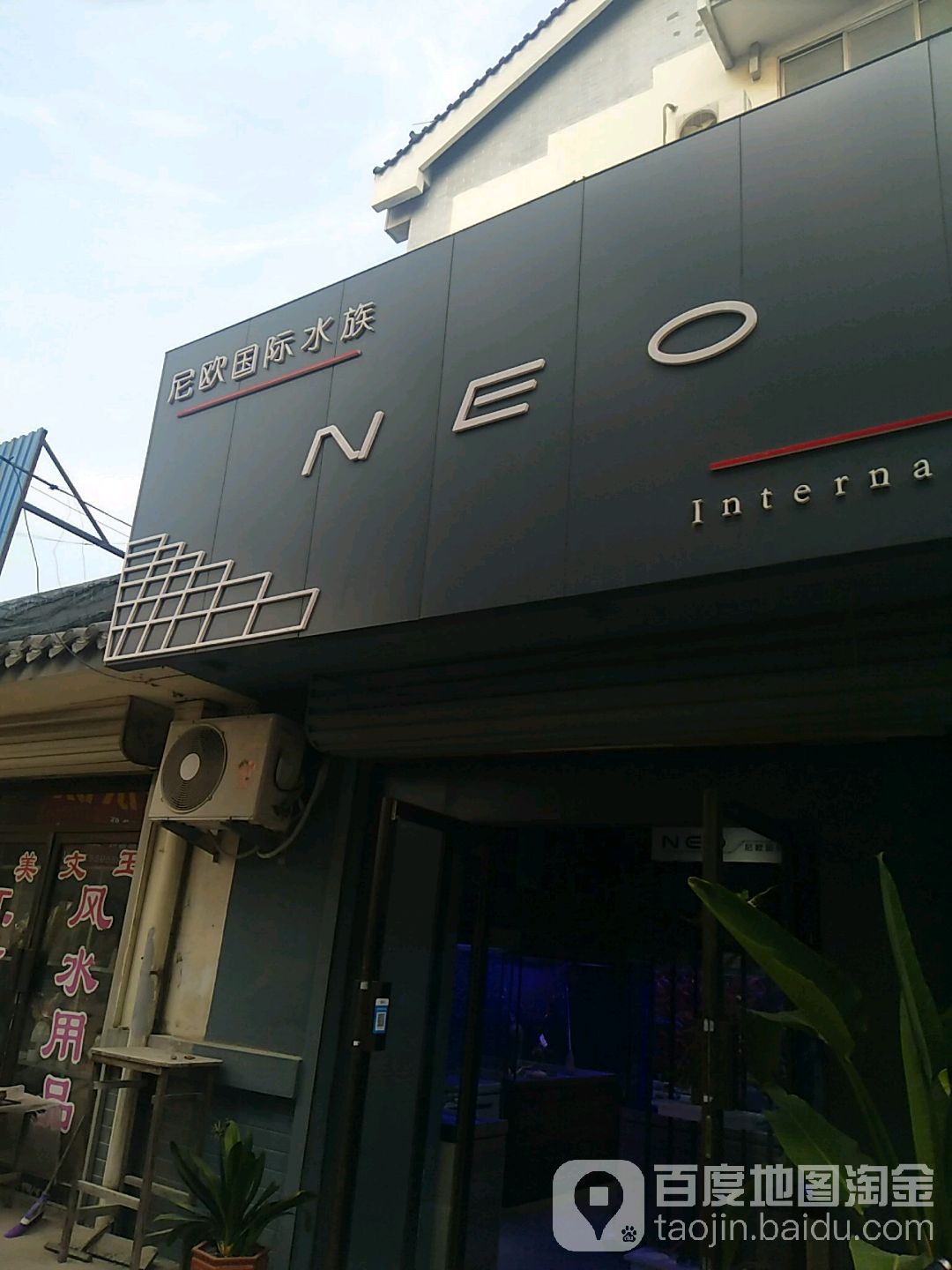 尼欧国际水族