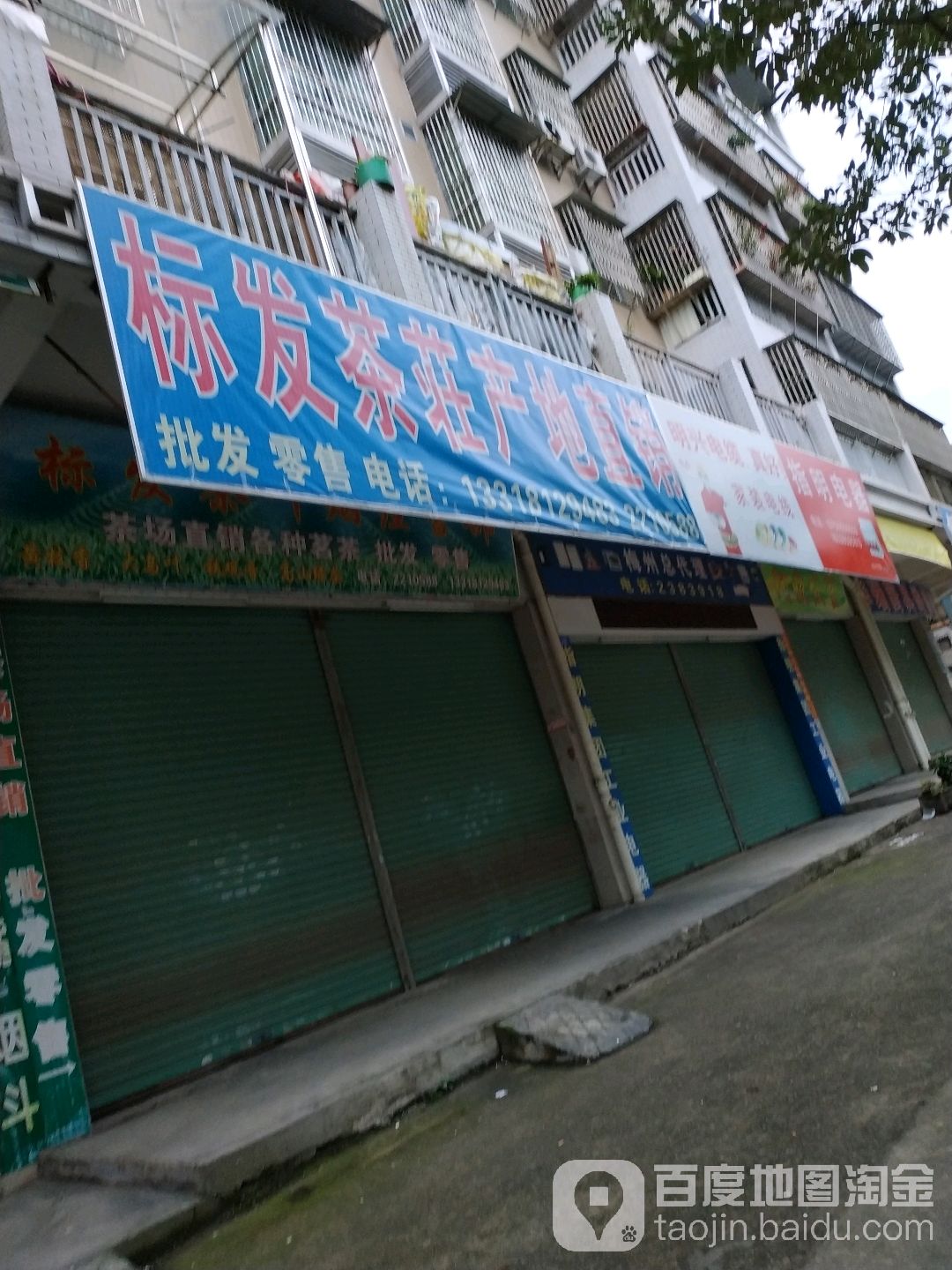标发茶庄产地直销