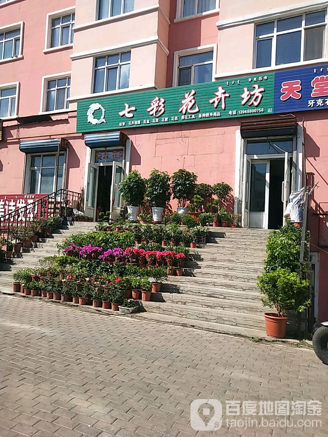 七彩花卉坊