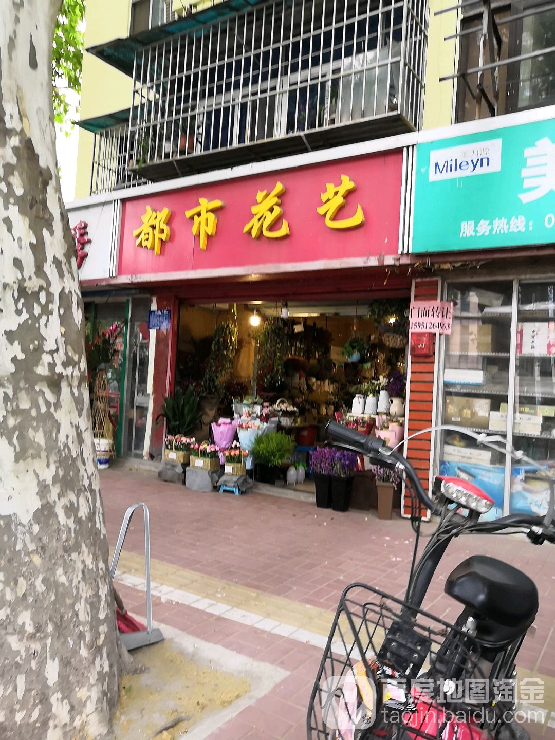 都市花艺(环城西路店)