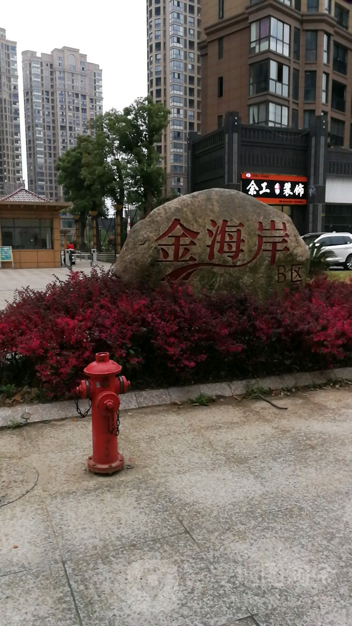 金海岸