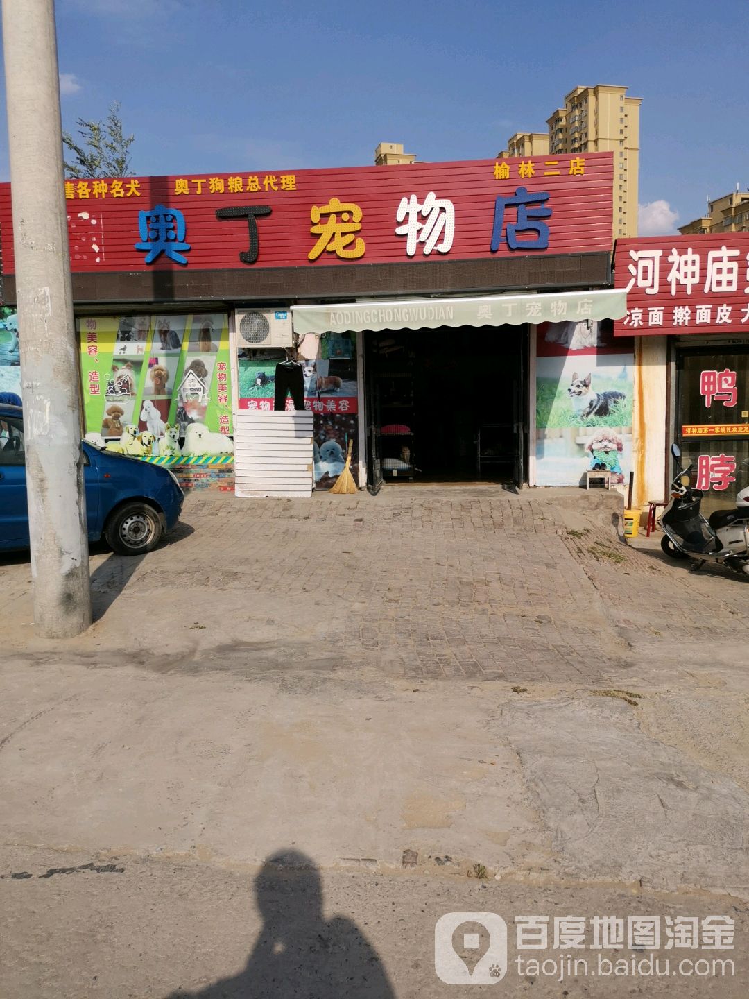 奥丁宠物店(榆林二店)