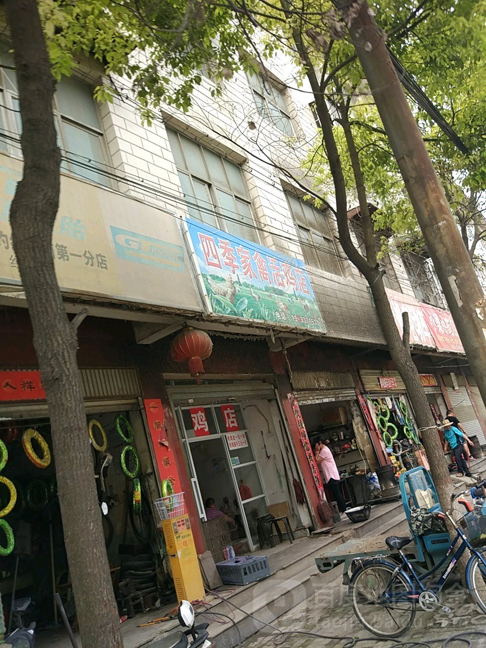 息县四季家禽活鸡店