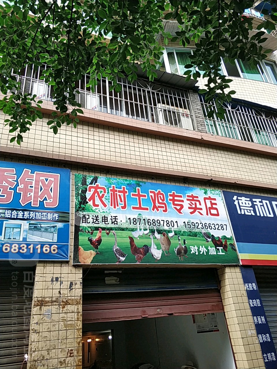 农村土鸡专卖店