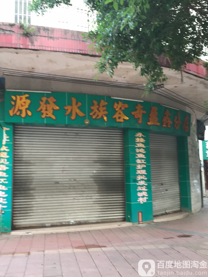 源发水族(容奇盈鑫分店)