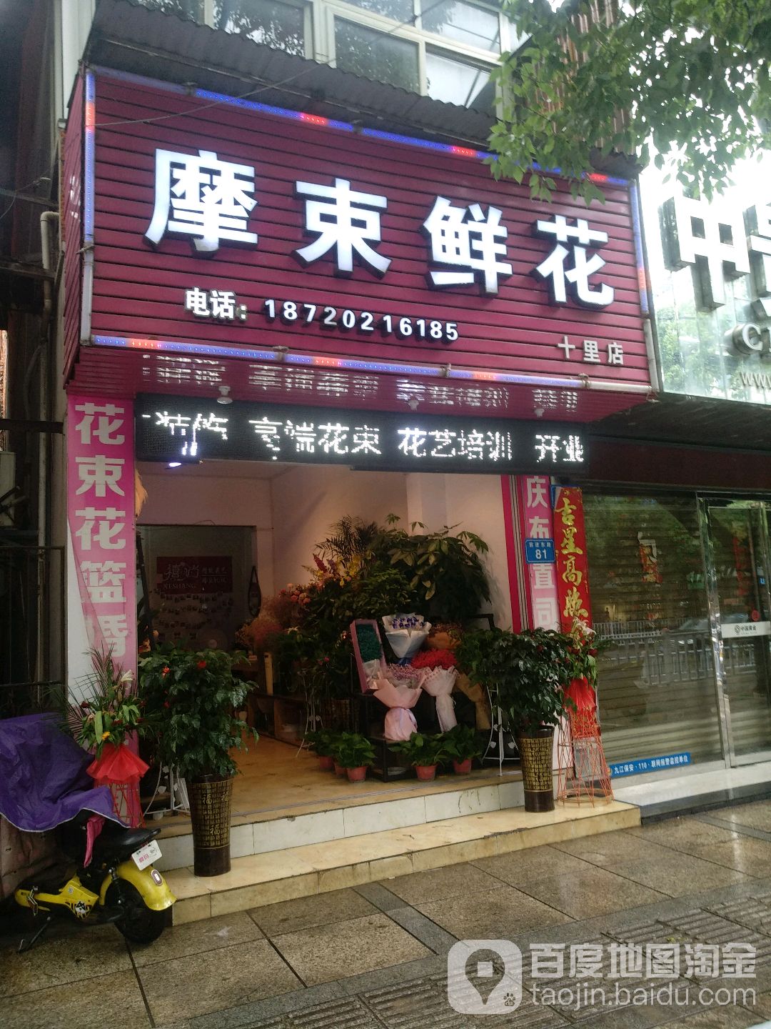 摩束鲜花(十里店)