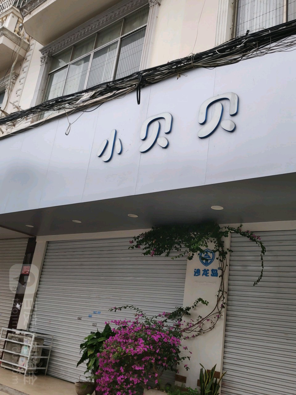 小贝贝