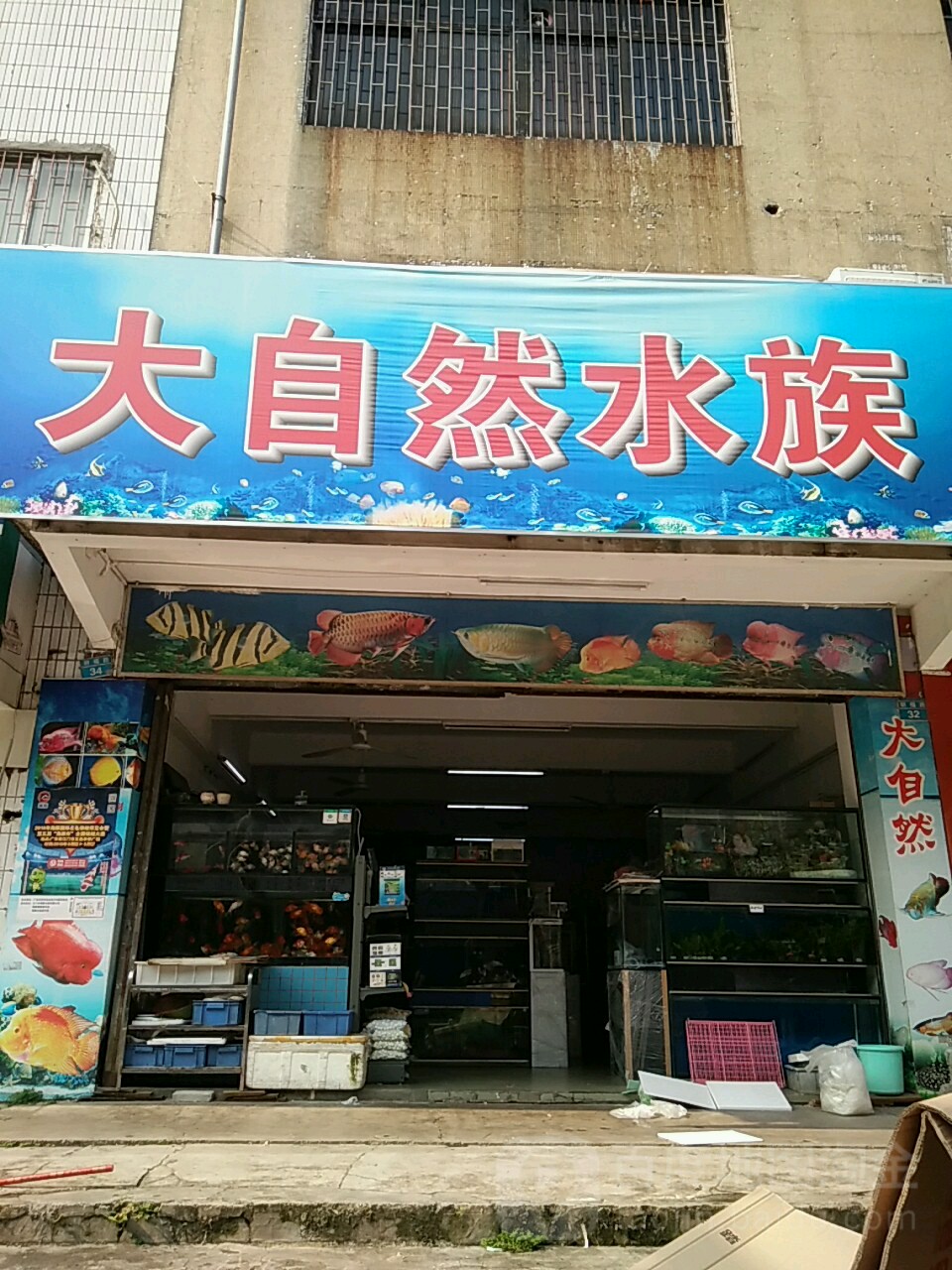 大自然水族(朝福路店)