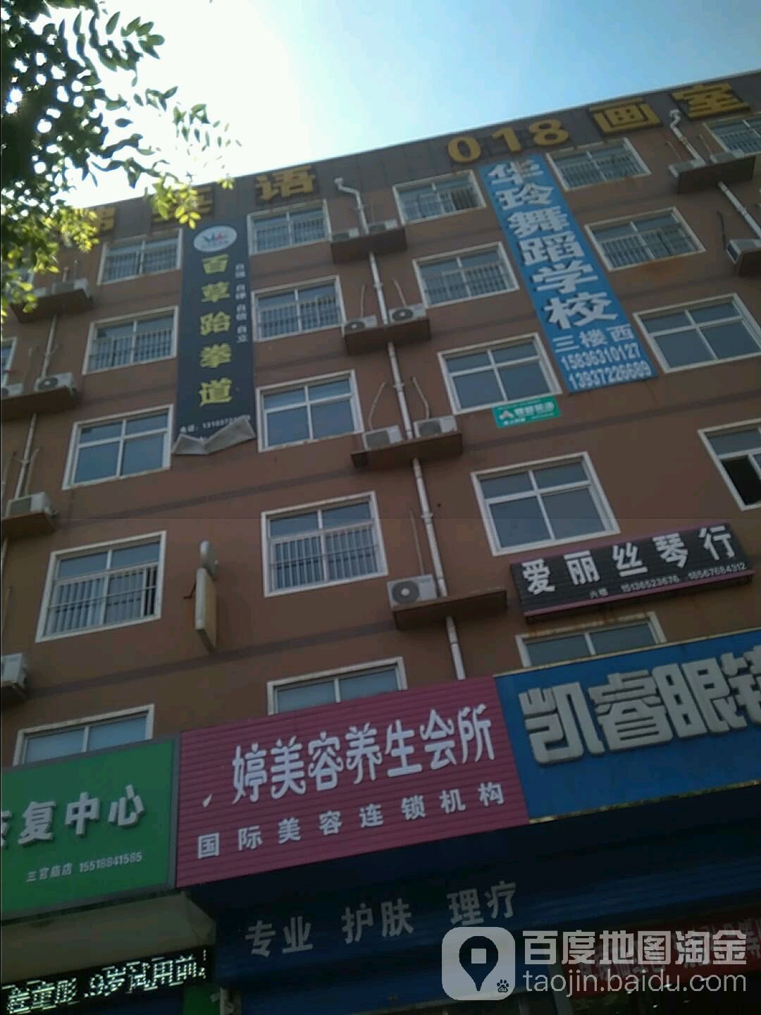百草跆拳