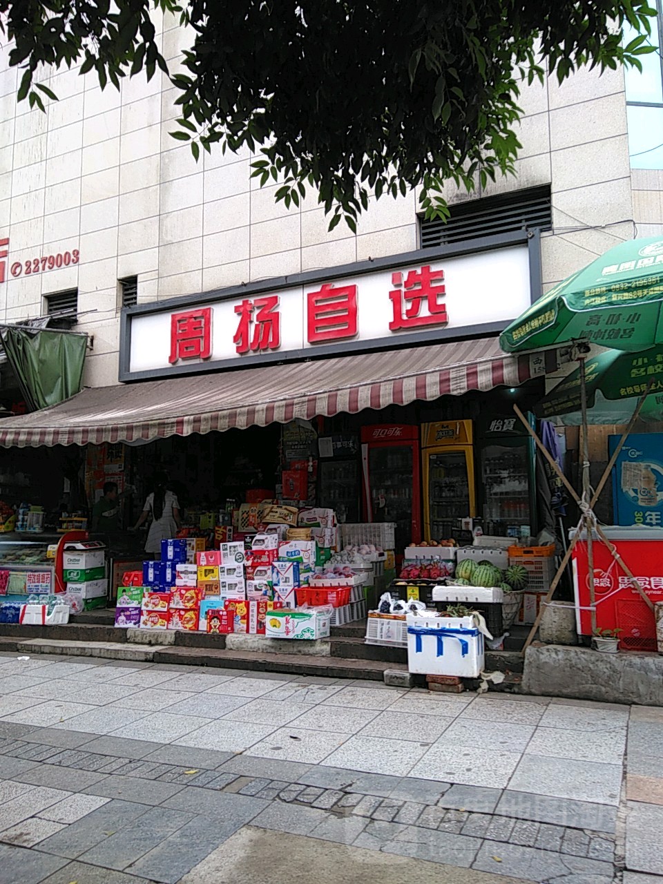 周扬自选
