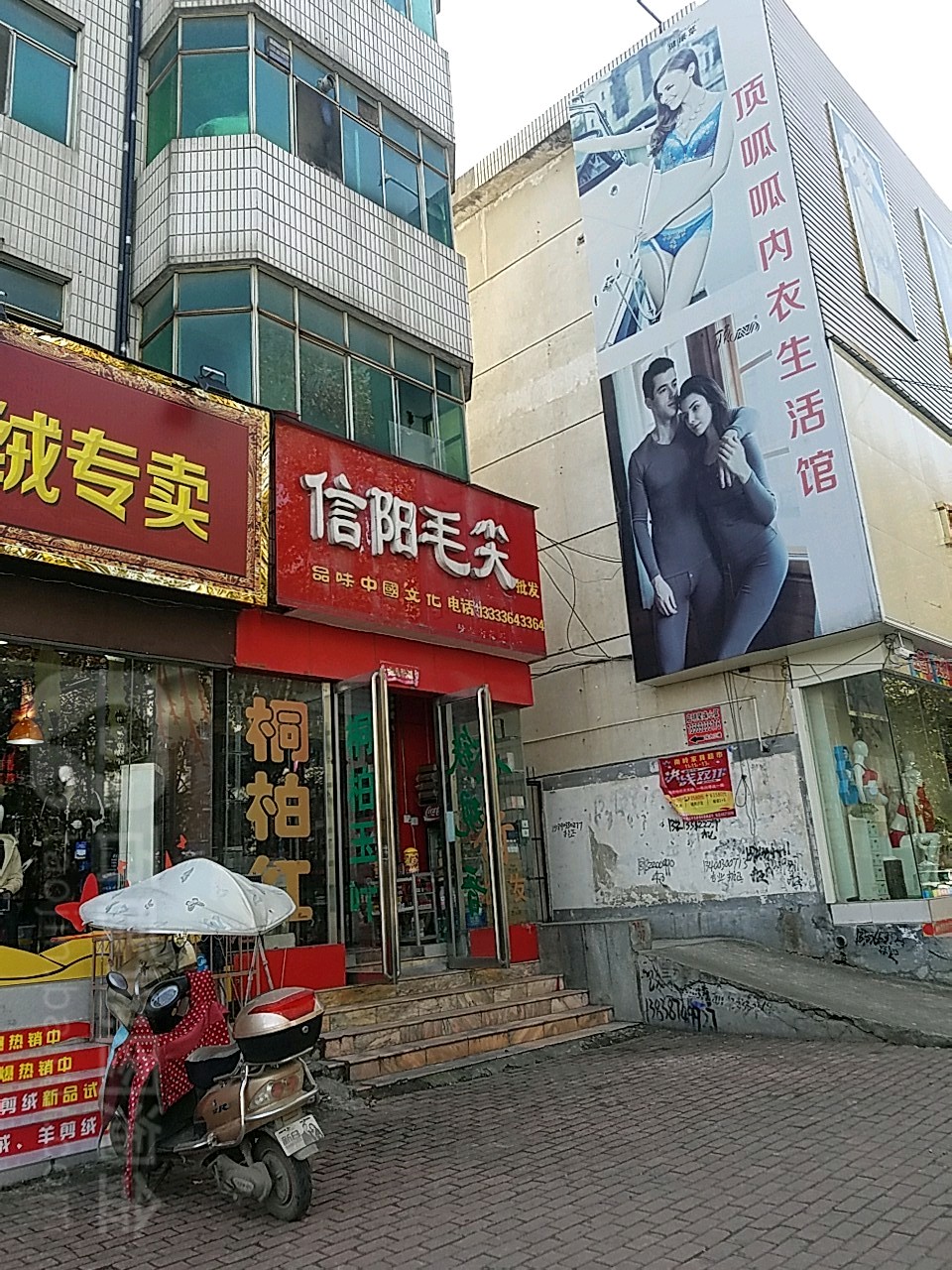 桐柏县信阳毛尖(淮河路店)