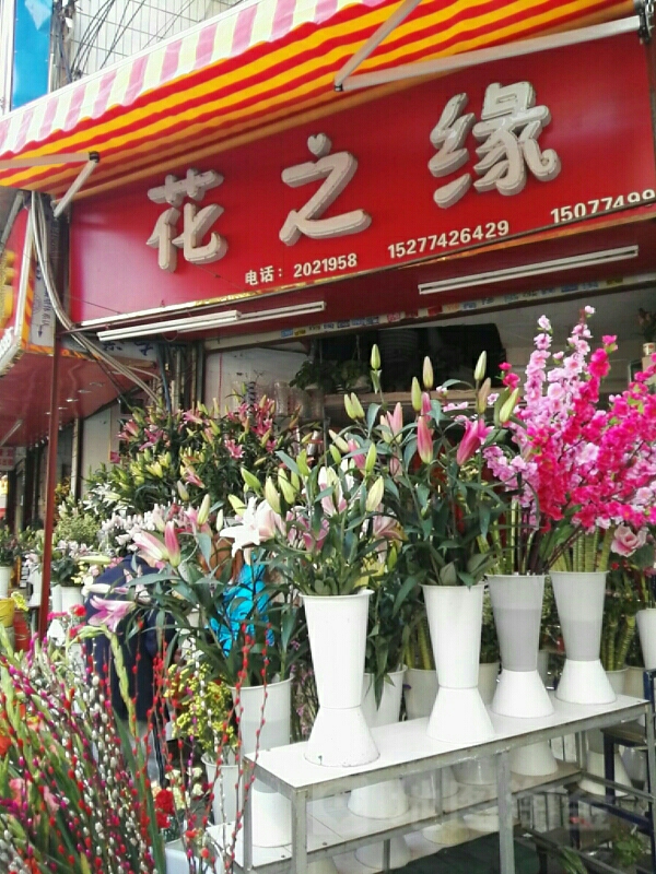 花之缘(阜民路店)