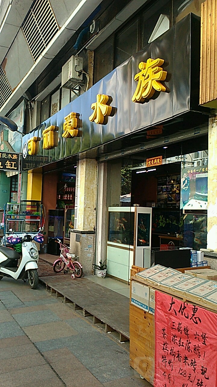 可爱丽水族(西江三路店)