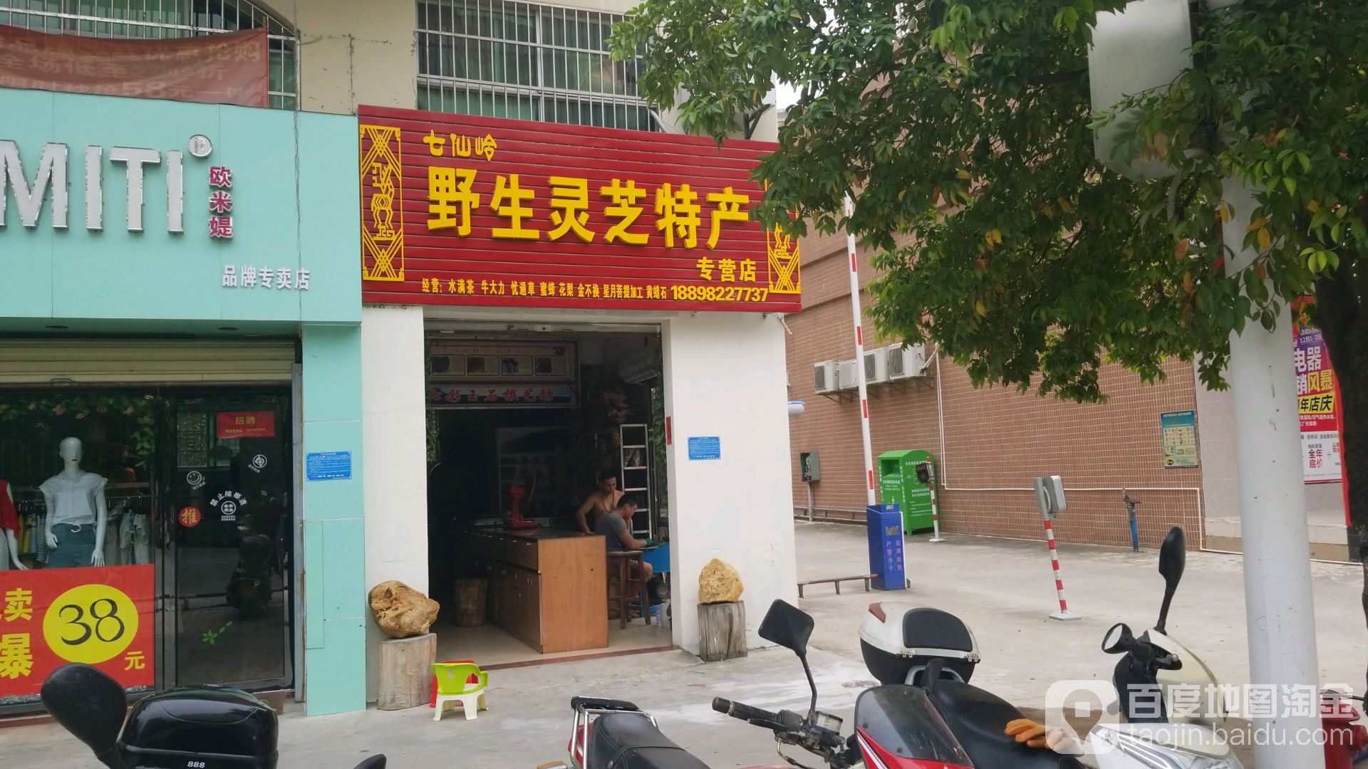 七仙岭野生灵芝特产专营店