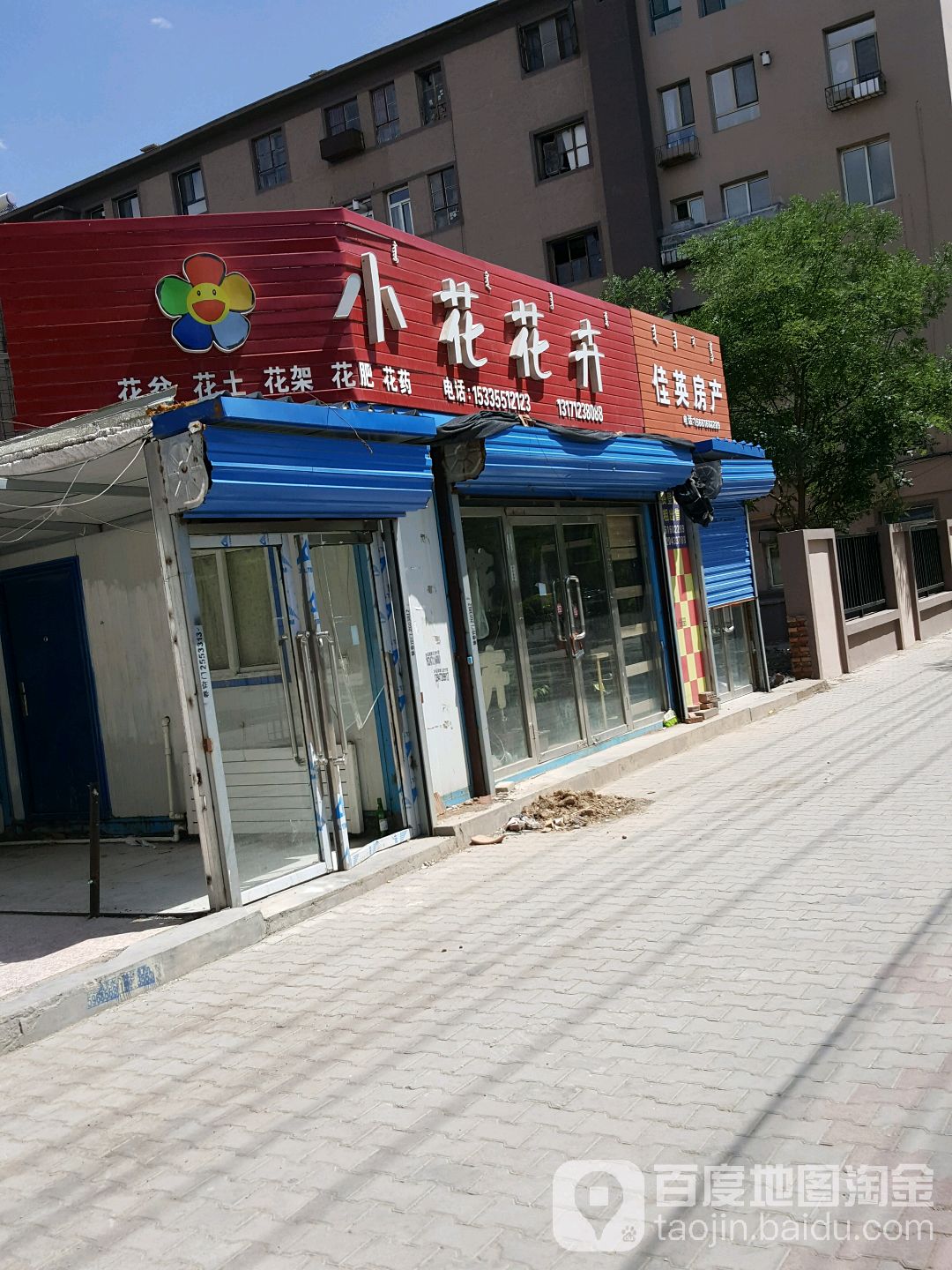 小花花卉