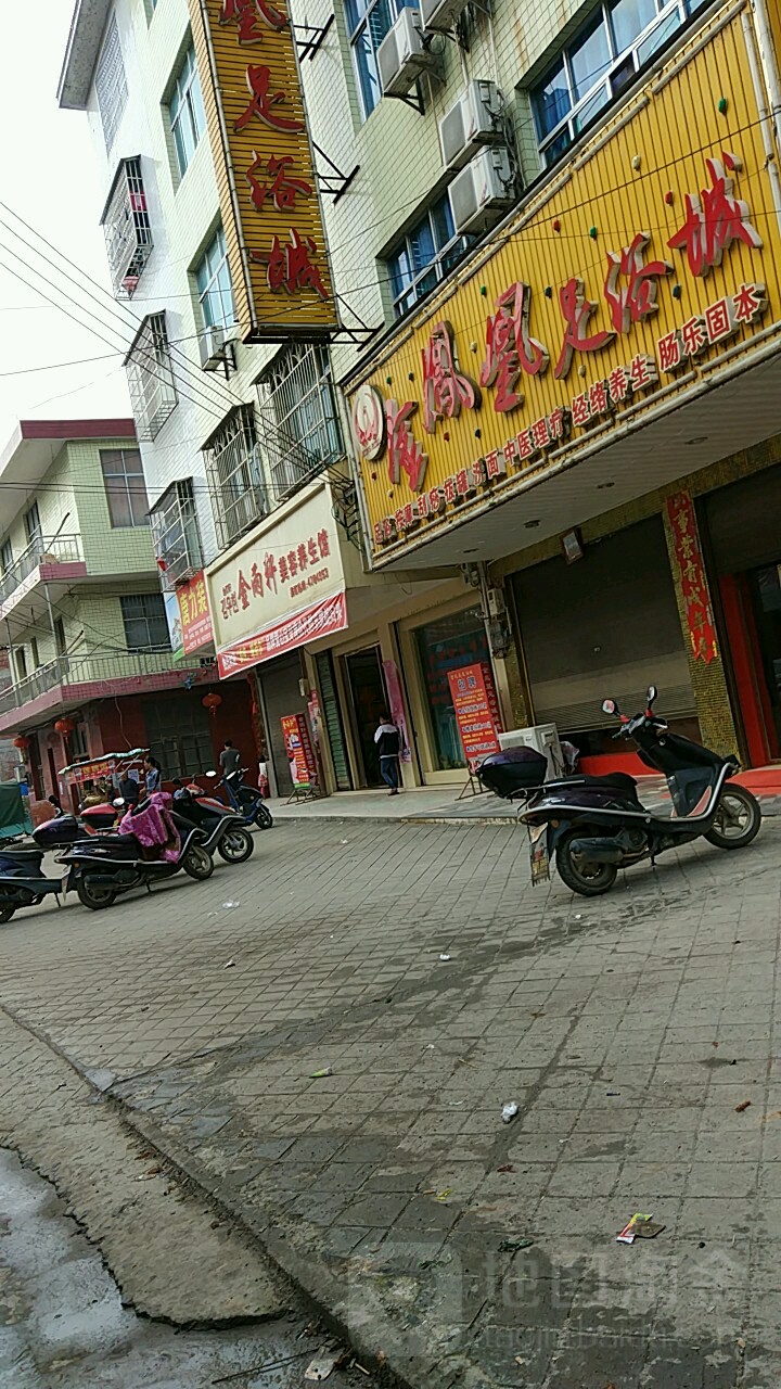金凤凰足浴城