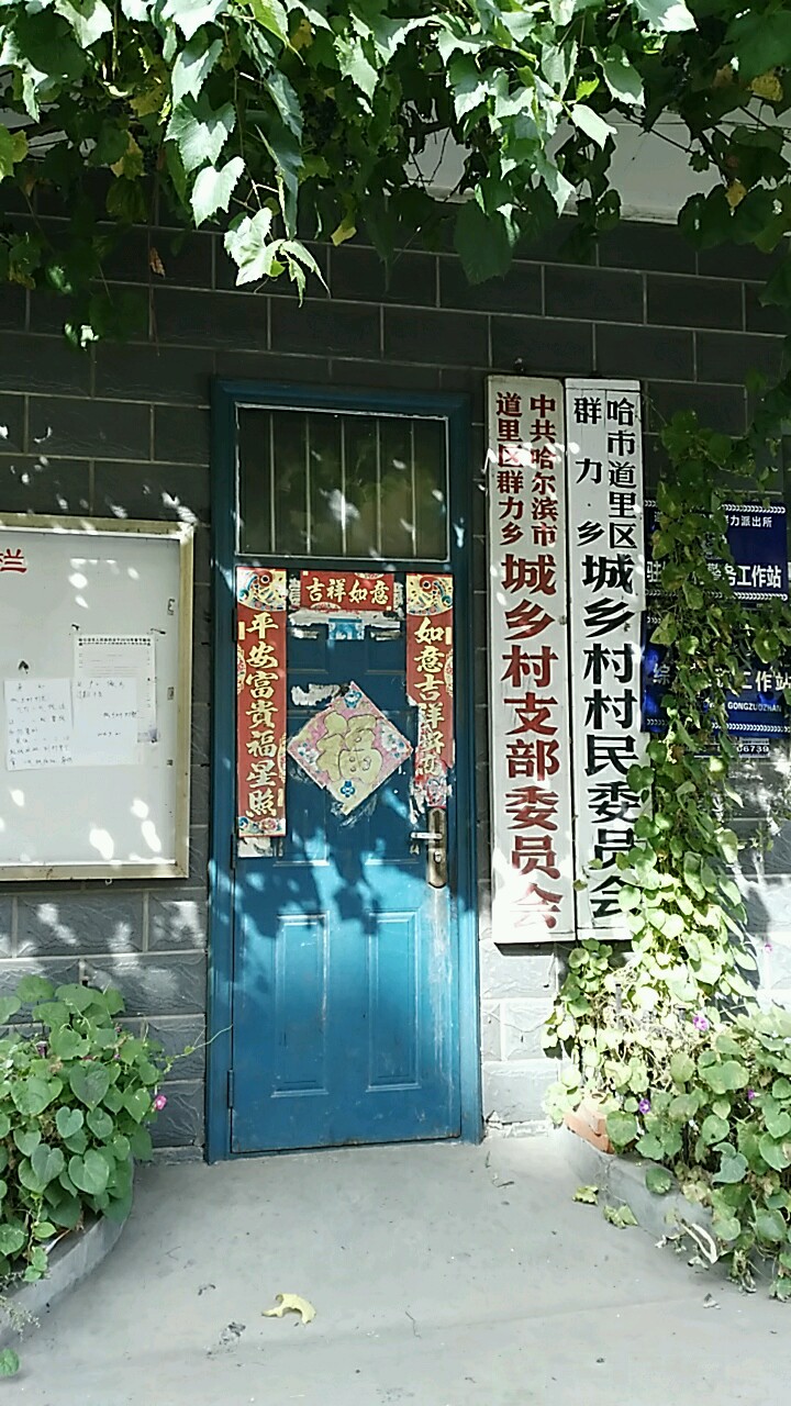 哈尔滨市道里区金城街东50米