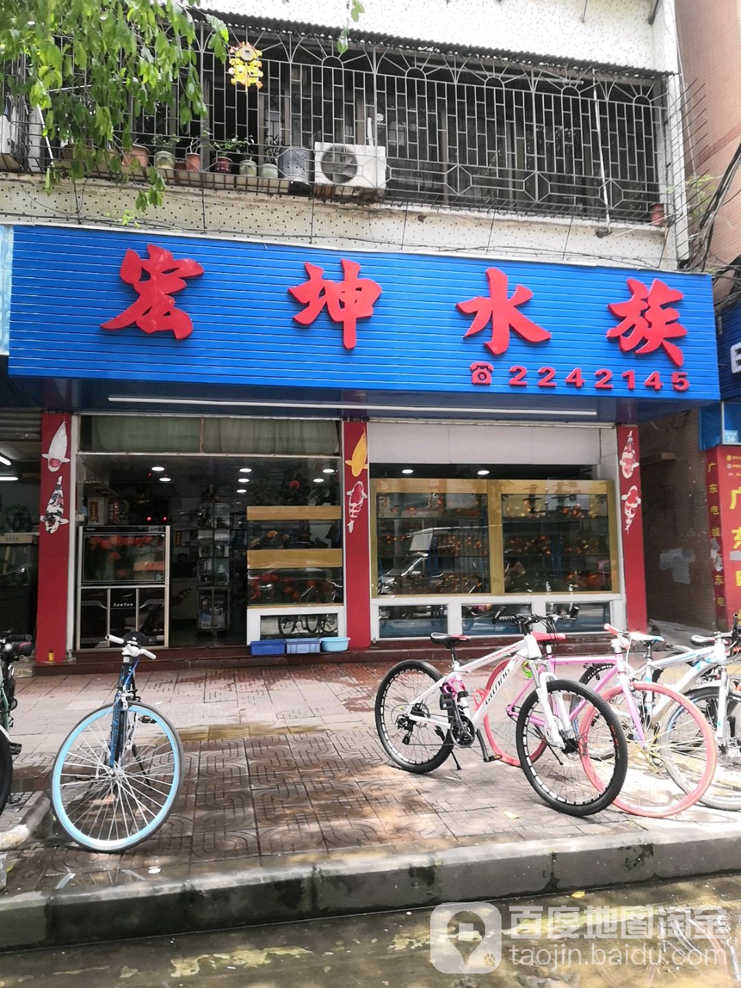 宏坤水族(桥东路店)