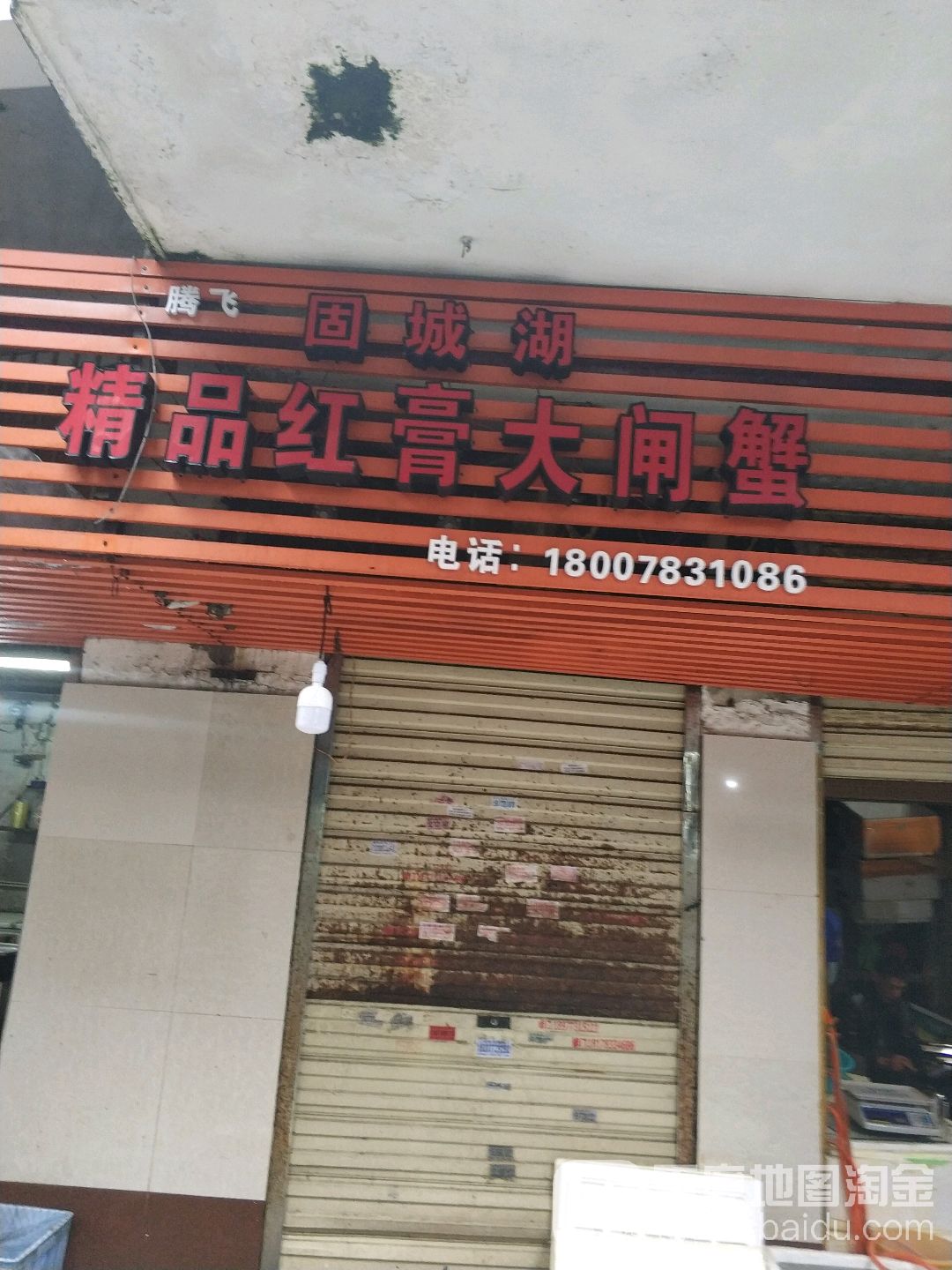 固城湖精品红膏大闸蟹